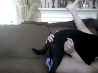 Black dog humps its owner wildly